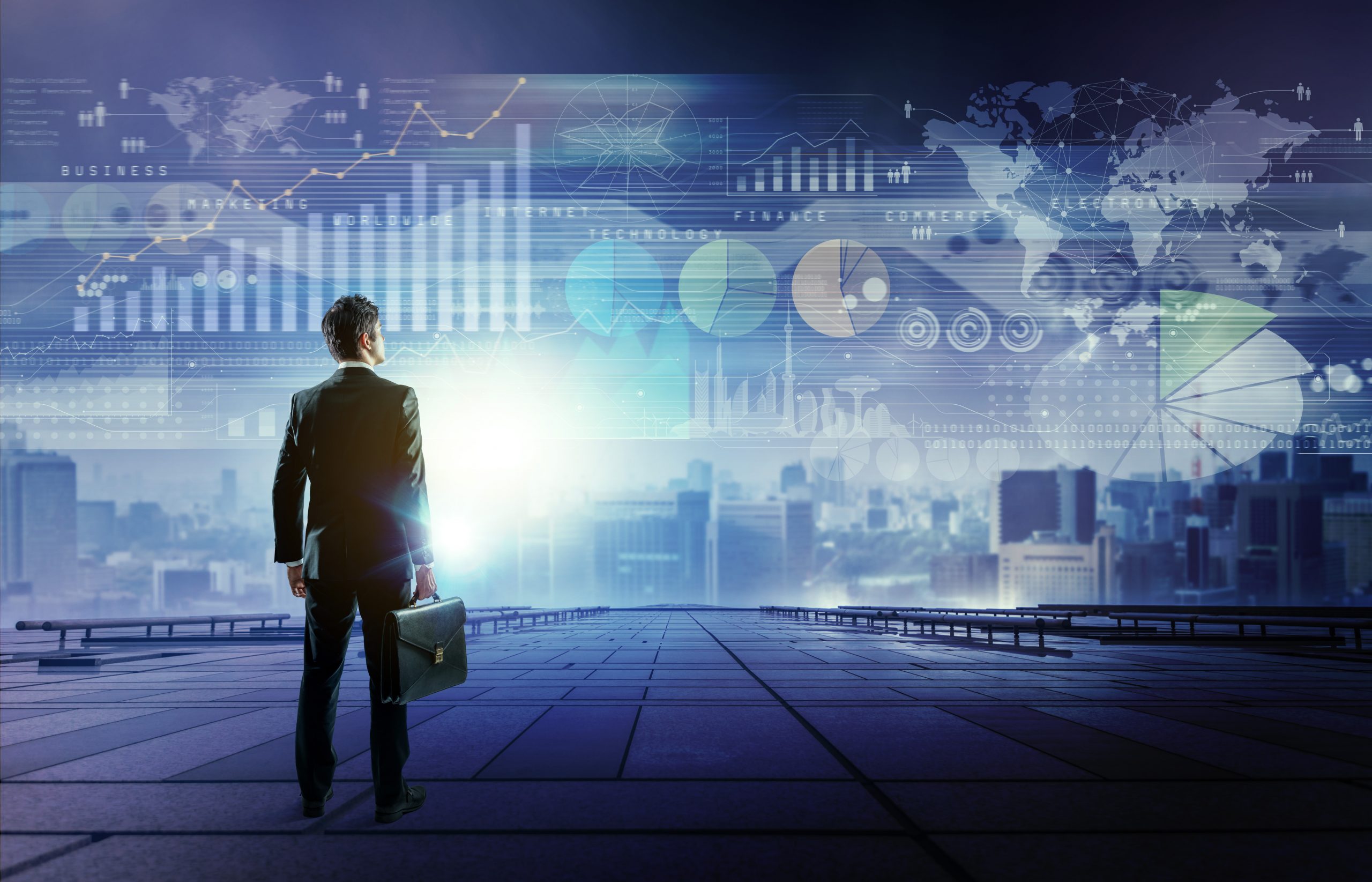 Virtual CIO (Chief Information Officer) for small business strategy development